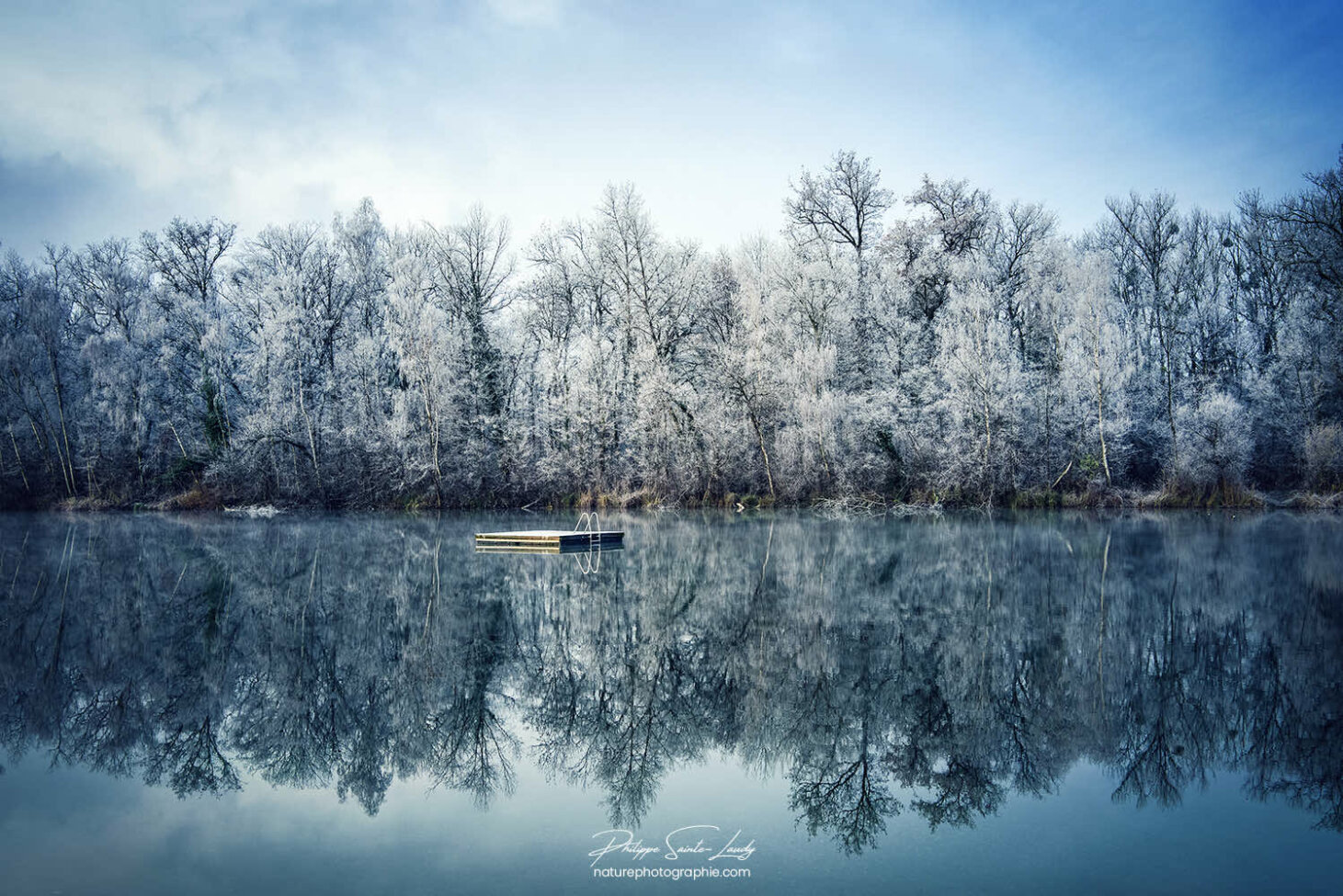 Forêt au bord de l'eau