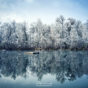Forêt au bord de l'eau