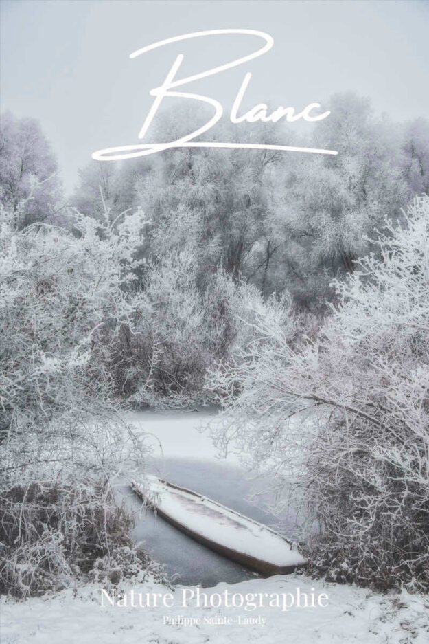 Paysage en hiver