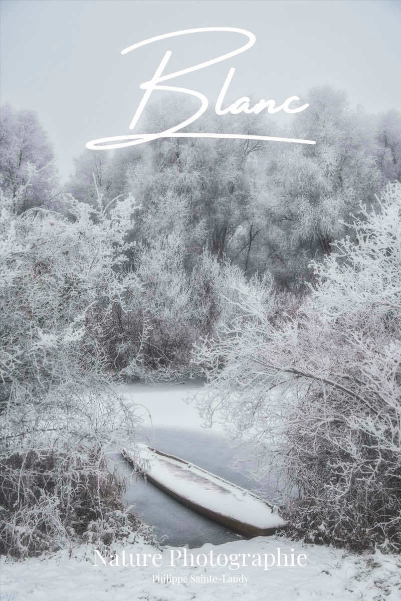 Blanc-comme-neige Paysage en hiver