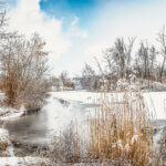 Nature sous la neige