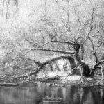 Un arbre gelé