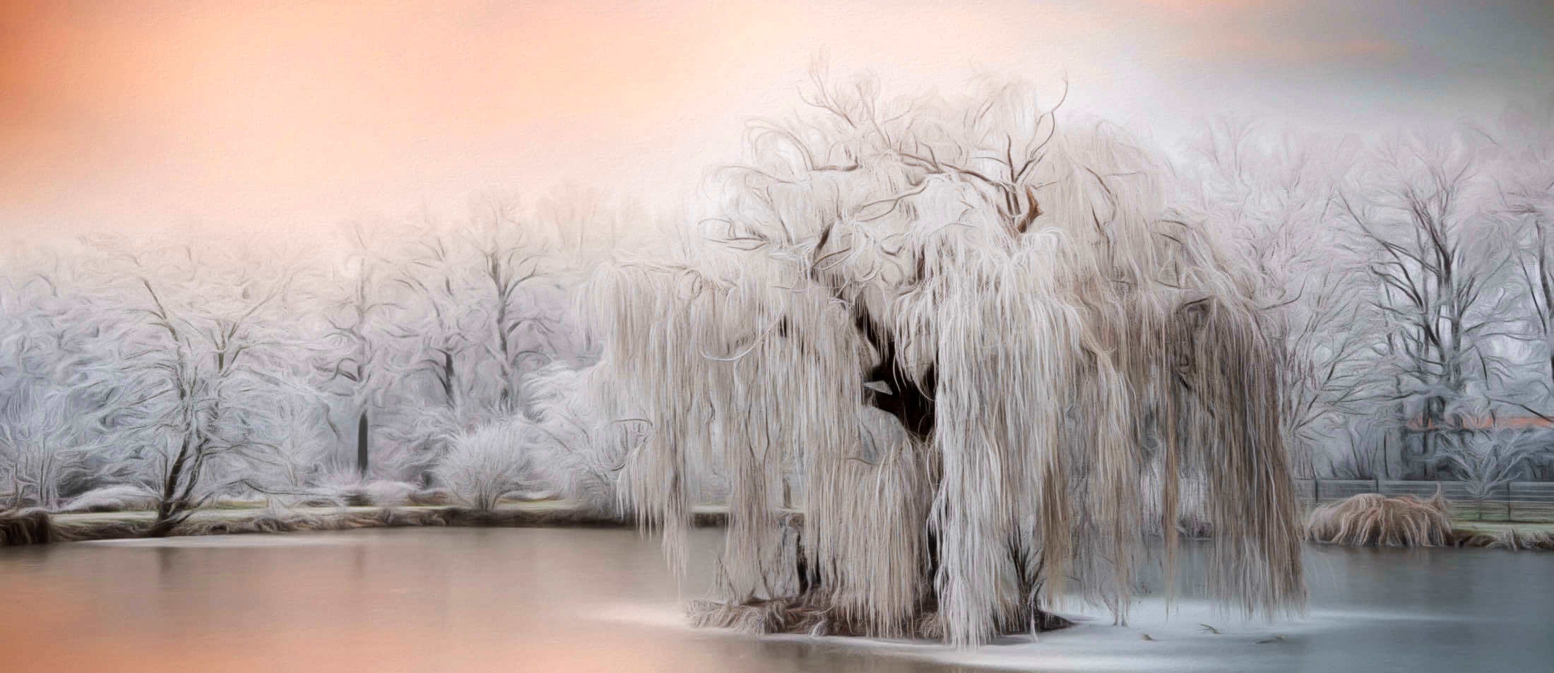 Exemple de paintography