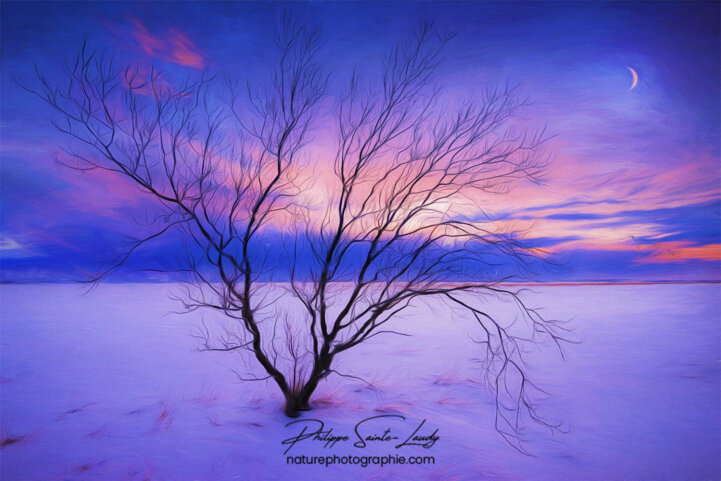 Paintography - Painterly - Arbre au coucher du soleil