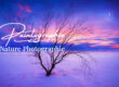 La paintography ou Painterly