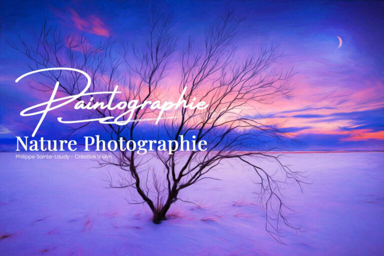 La paintography ou Painterly