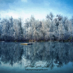 Paintography - Painterly - Reflet de forêt