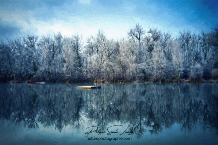 Paintography - Painterly - Reflet de forêt