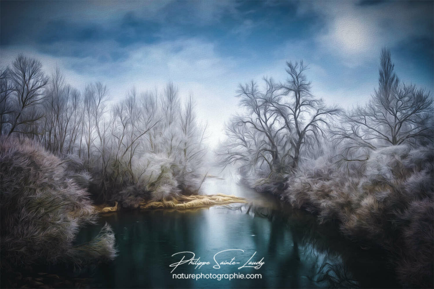 Paintography - Painterly - Nature gelée