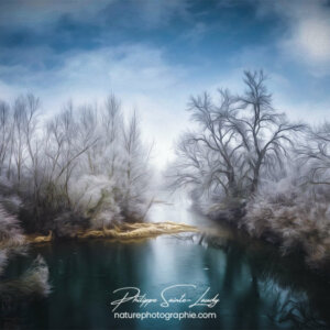 Paintography - Painterly - Nature gelée