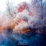 Paintography - Painterly - Arbres gelés au bord d'un lac