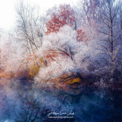 Paintography - Painterly - Arbres gelés au bord d'un lac