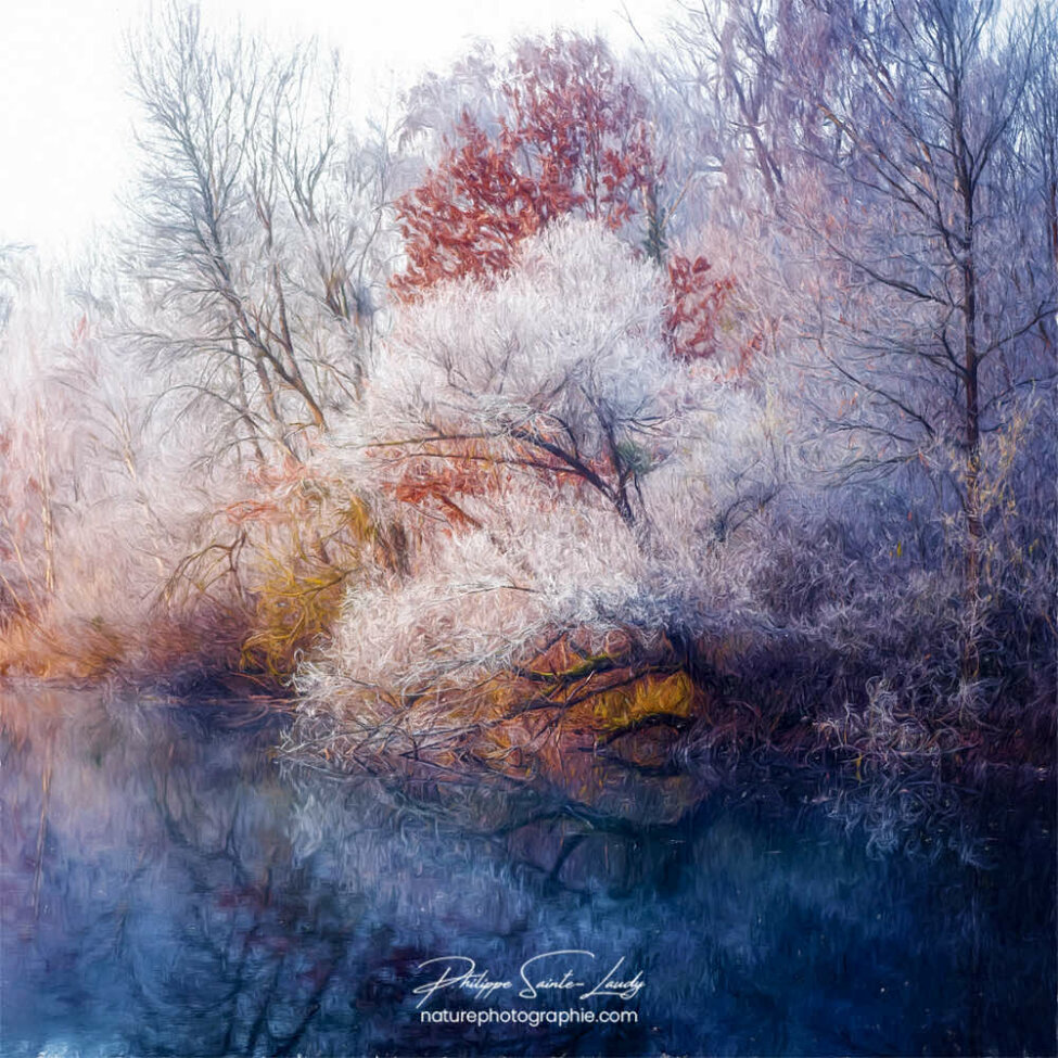 Paintography - Painterly - Arbres gelés au bord d'un lac