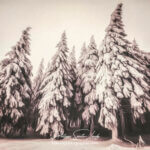 Paintography - Painterly - Sapins en hiver