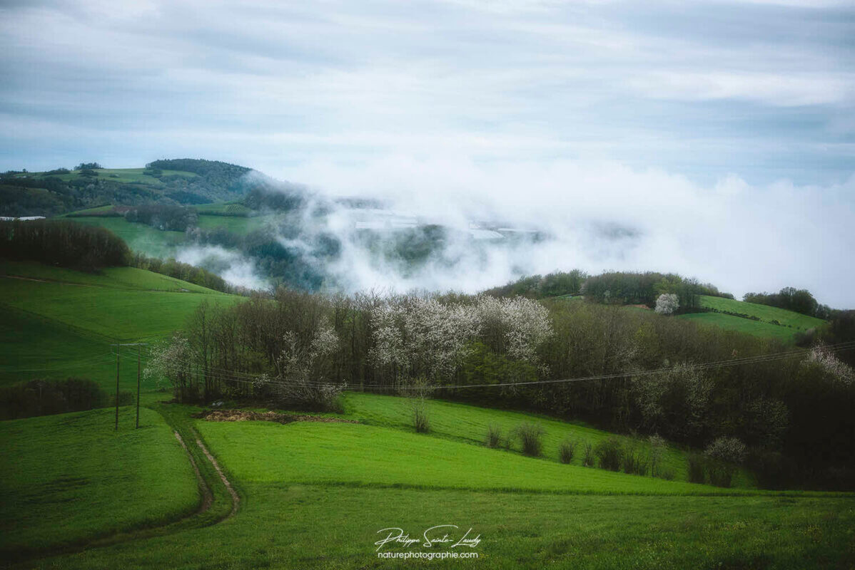 Paysage dans la brume