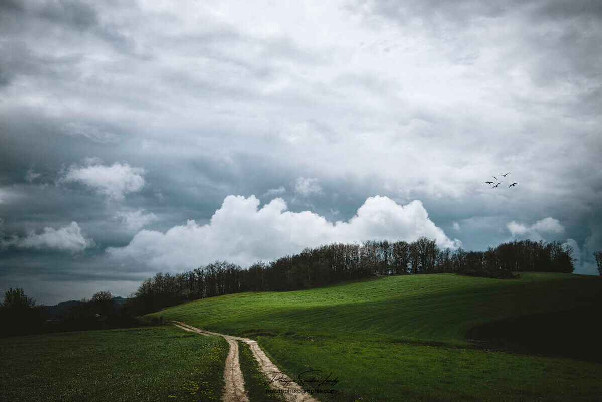 Chemin dans la campagne lyonnaise