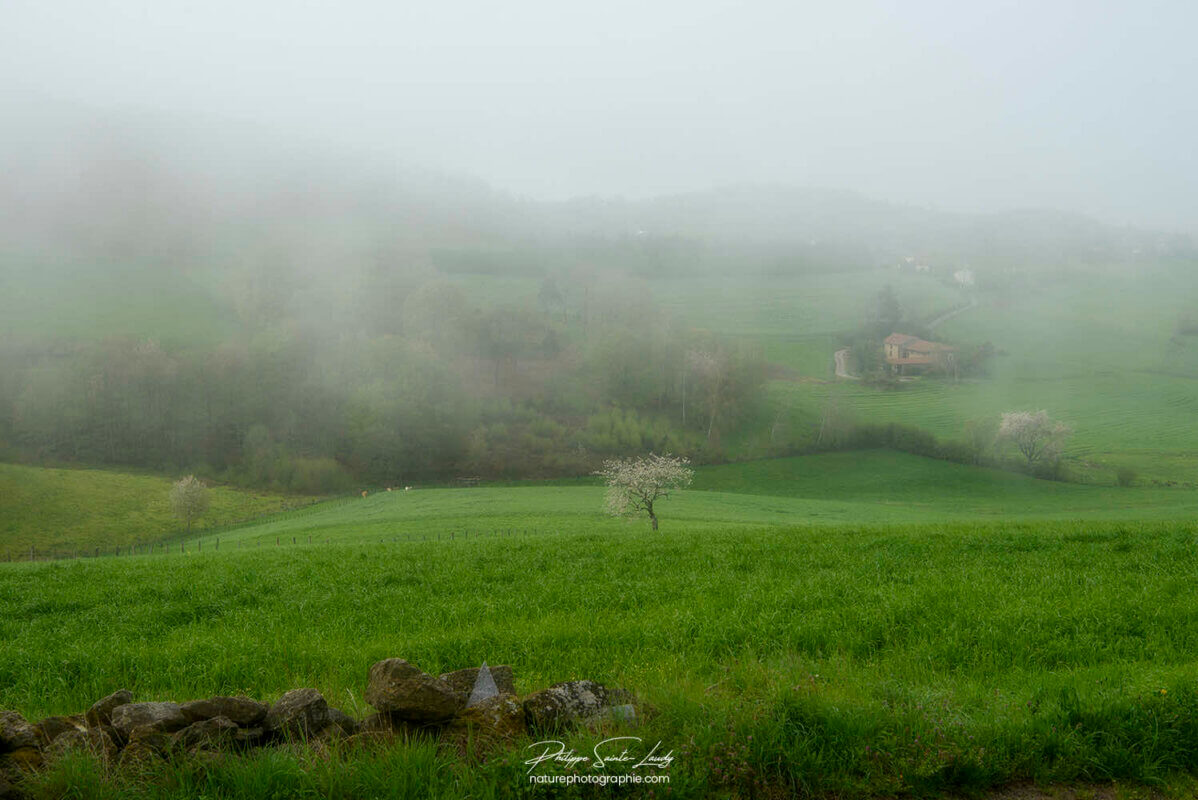 Brouillard sur les Monts Lyonnais