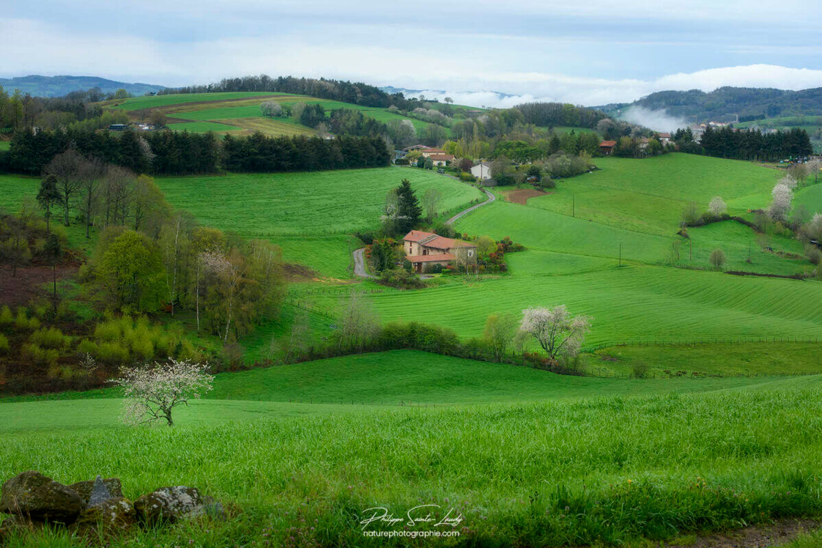 Vallon vert - Les Monts du Lyonnais
