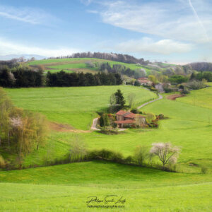 Les Monts du Lyonnais au printemps