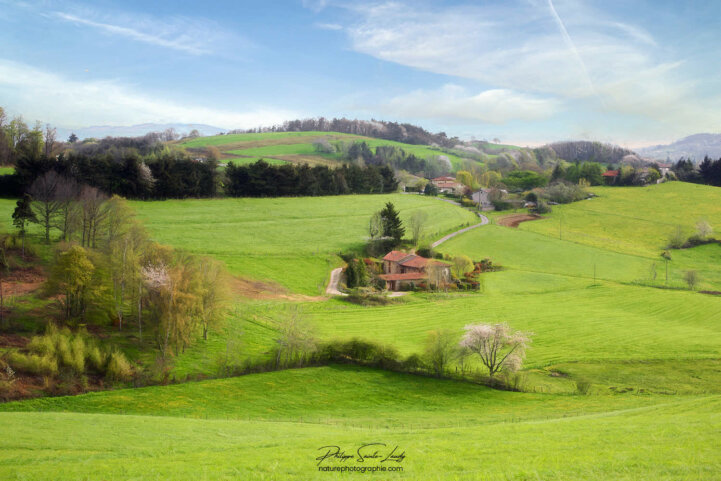 Les Monts du Lyonnais au printemps