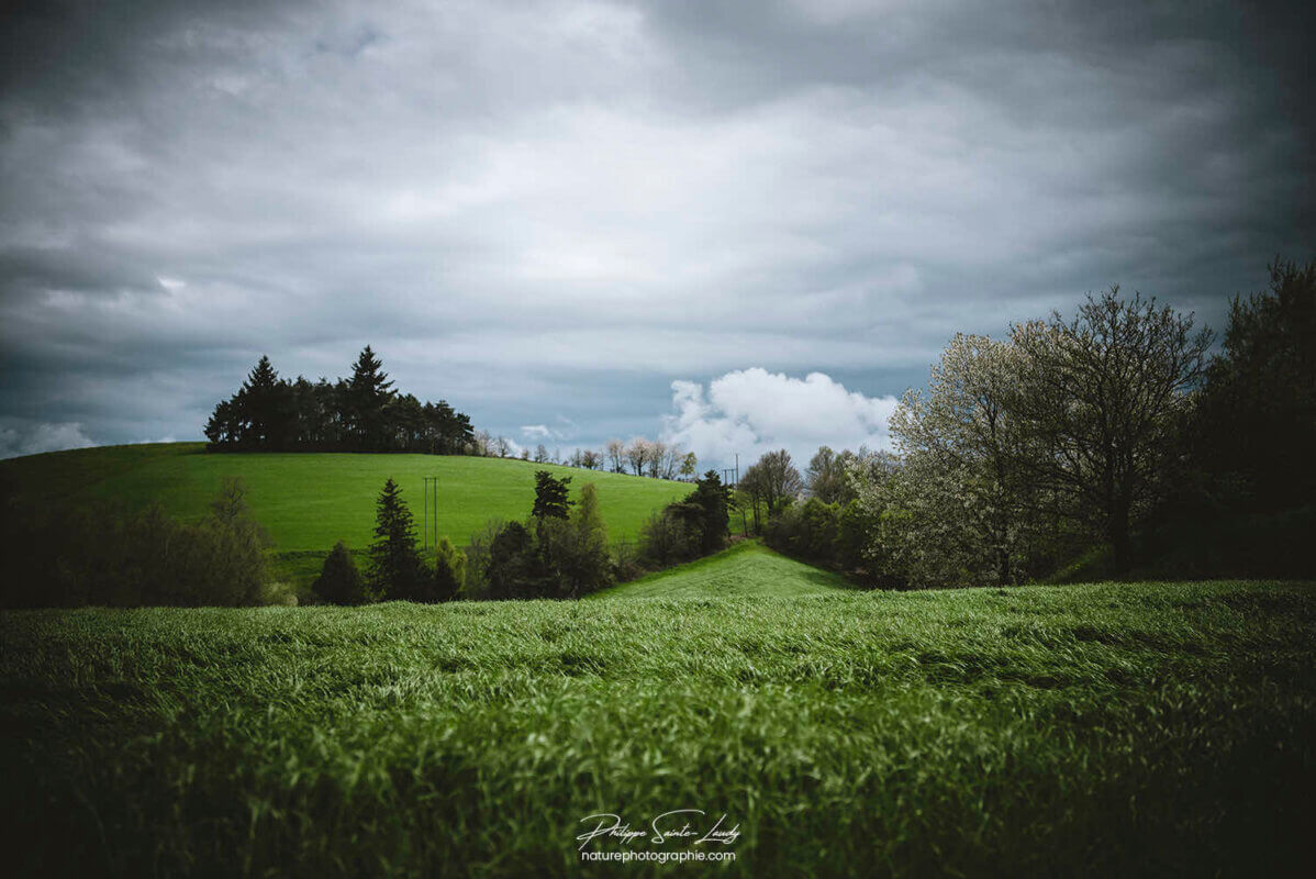 Ambiance sombre dans un paysage