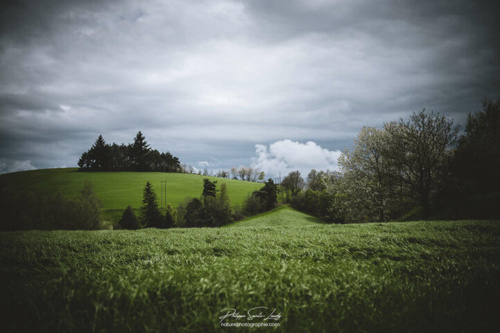 Ambiance sombre dans un paysage