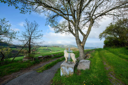 Photographie de paysage