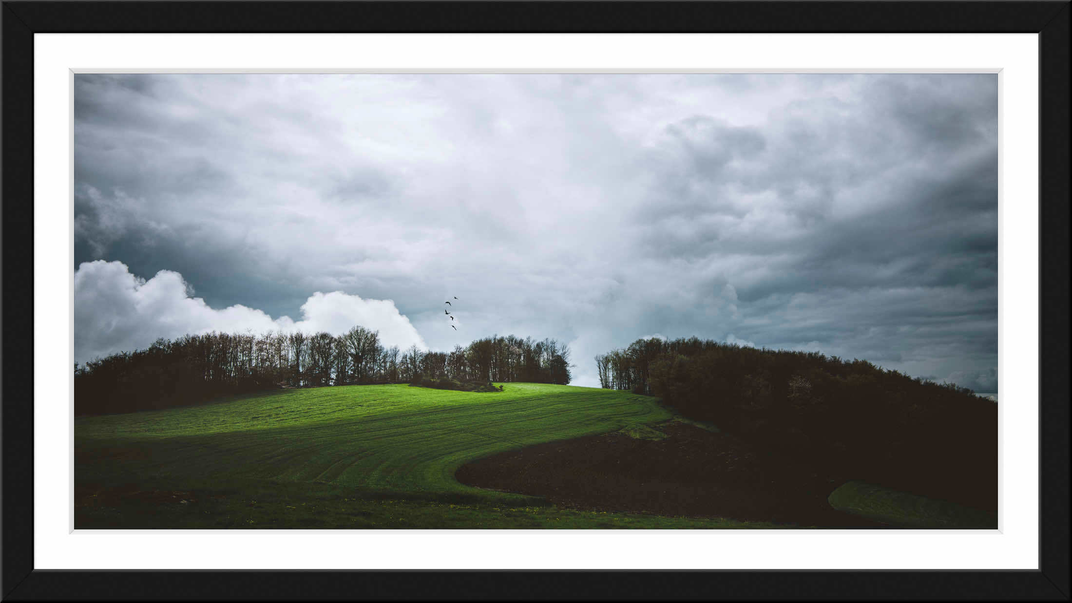 Paysage panoramique