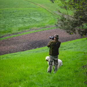 Philippe Sainte-Laudy et Maddy