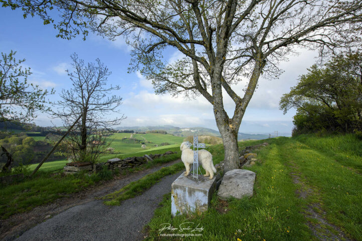 Maddy à la campagne