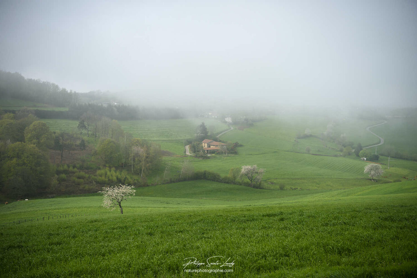 Campagne dans la brume
