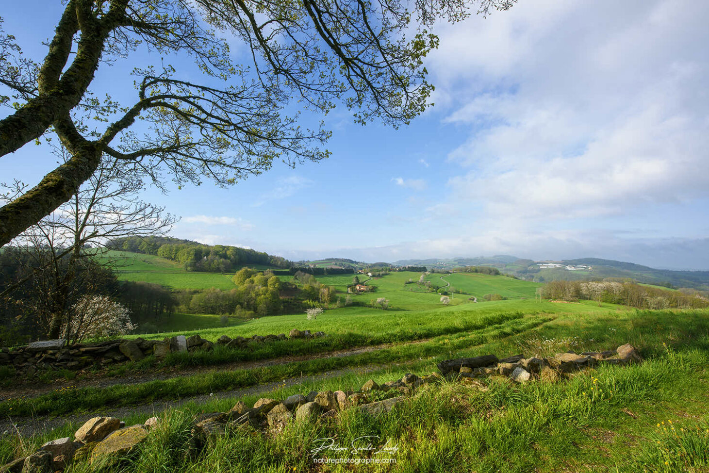Belle journée dans la campagne Lyonnaise