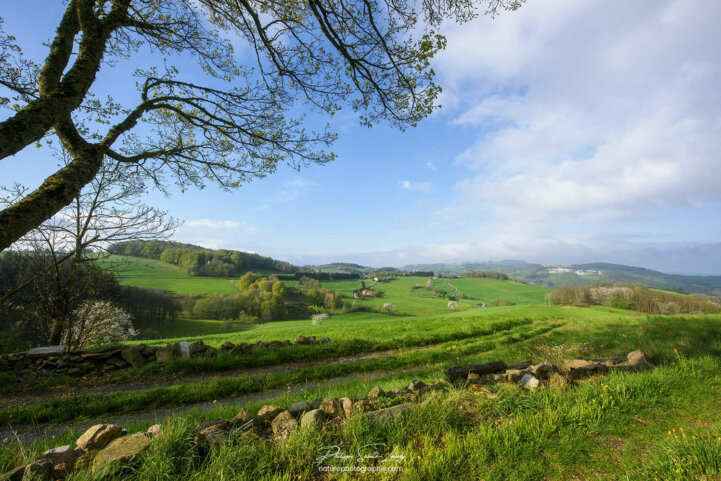 Belle journée dans la campagne Lyonnaise