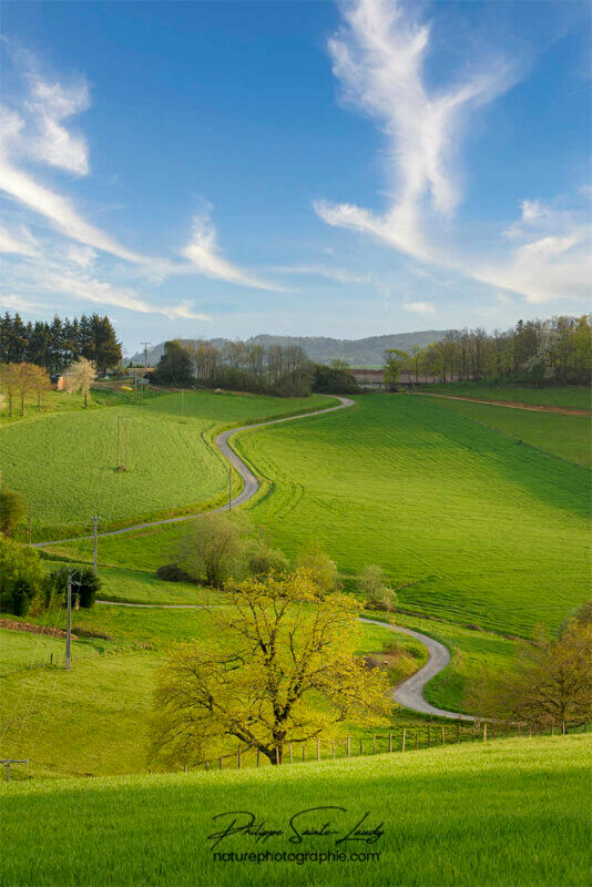 Paysage vallonné