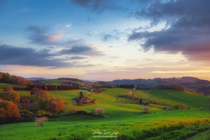L'heure dorée sur les Monts du Lyonnais