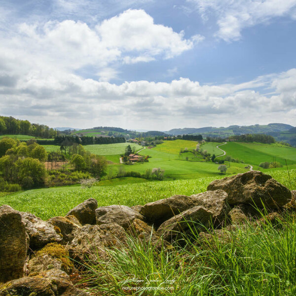 Nuages d'été sur les Monts du Lyonnais