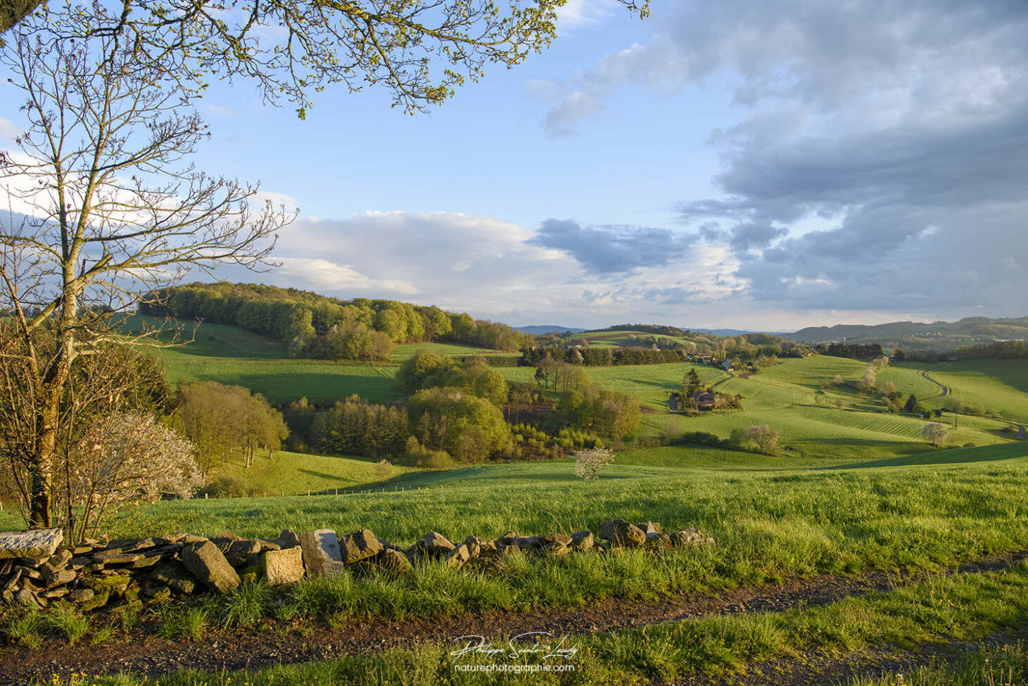 Paysage en fin de journée