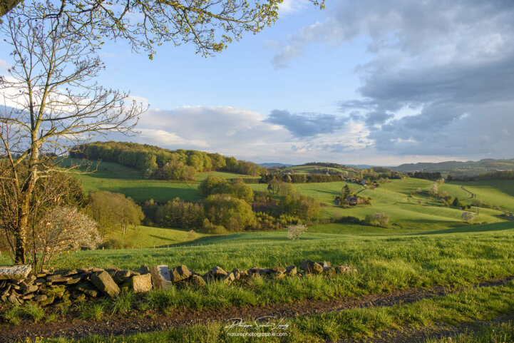 Paysage en fin de journée