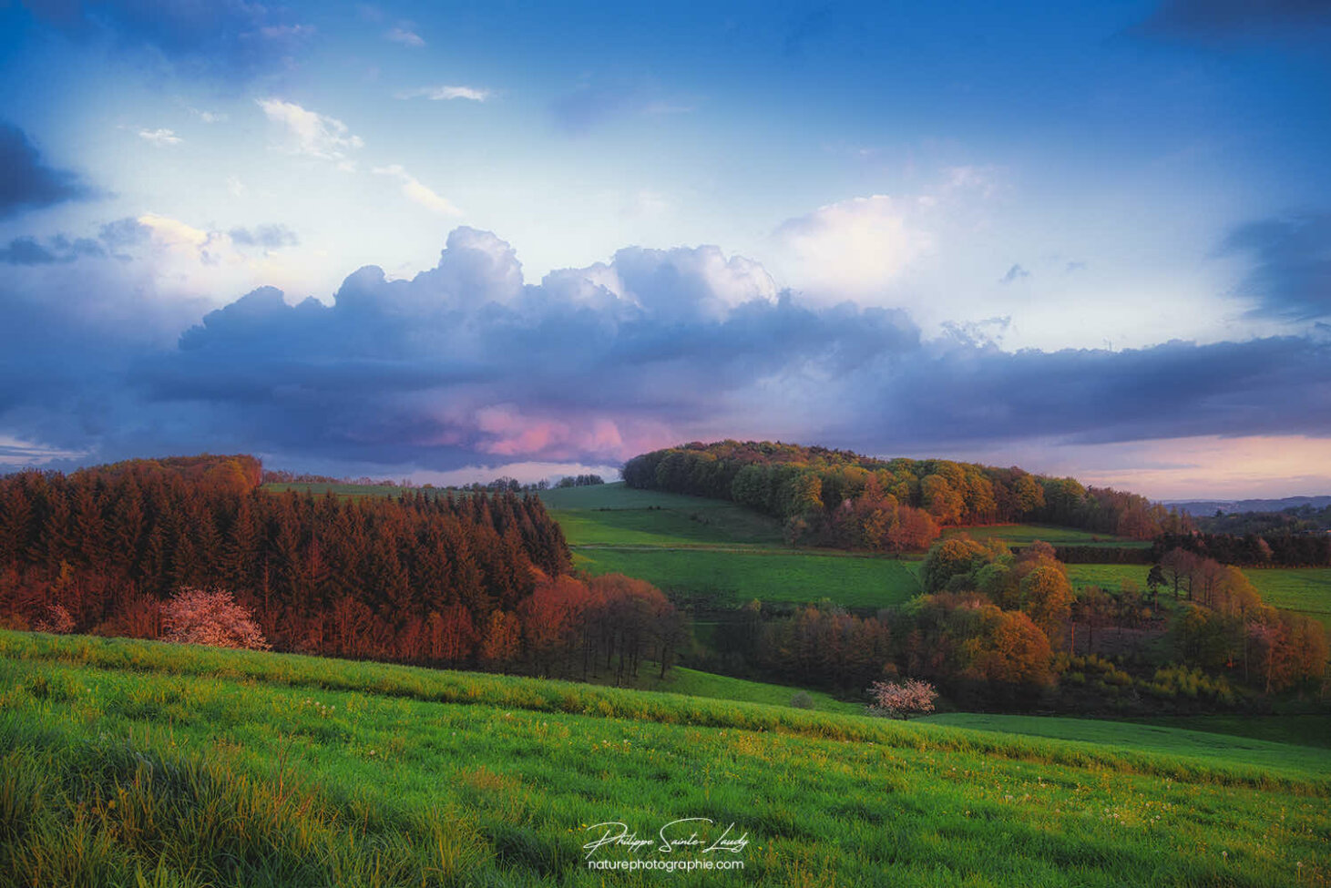 Photo de paysage des Monts du Lyonnais