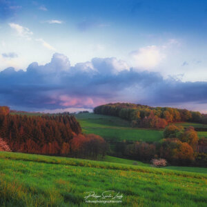 Photo de paysage des Monts du Lyonnais