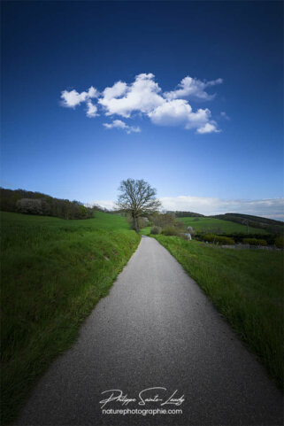 Une route sous un ciel bleu