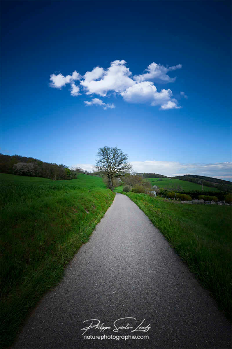 Une route sous un ciel bleu