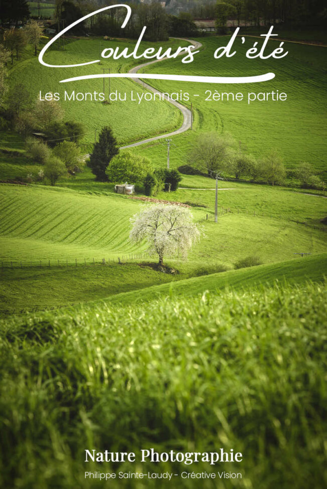 Photos des Monts du Lyonnais en été