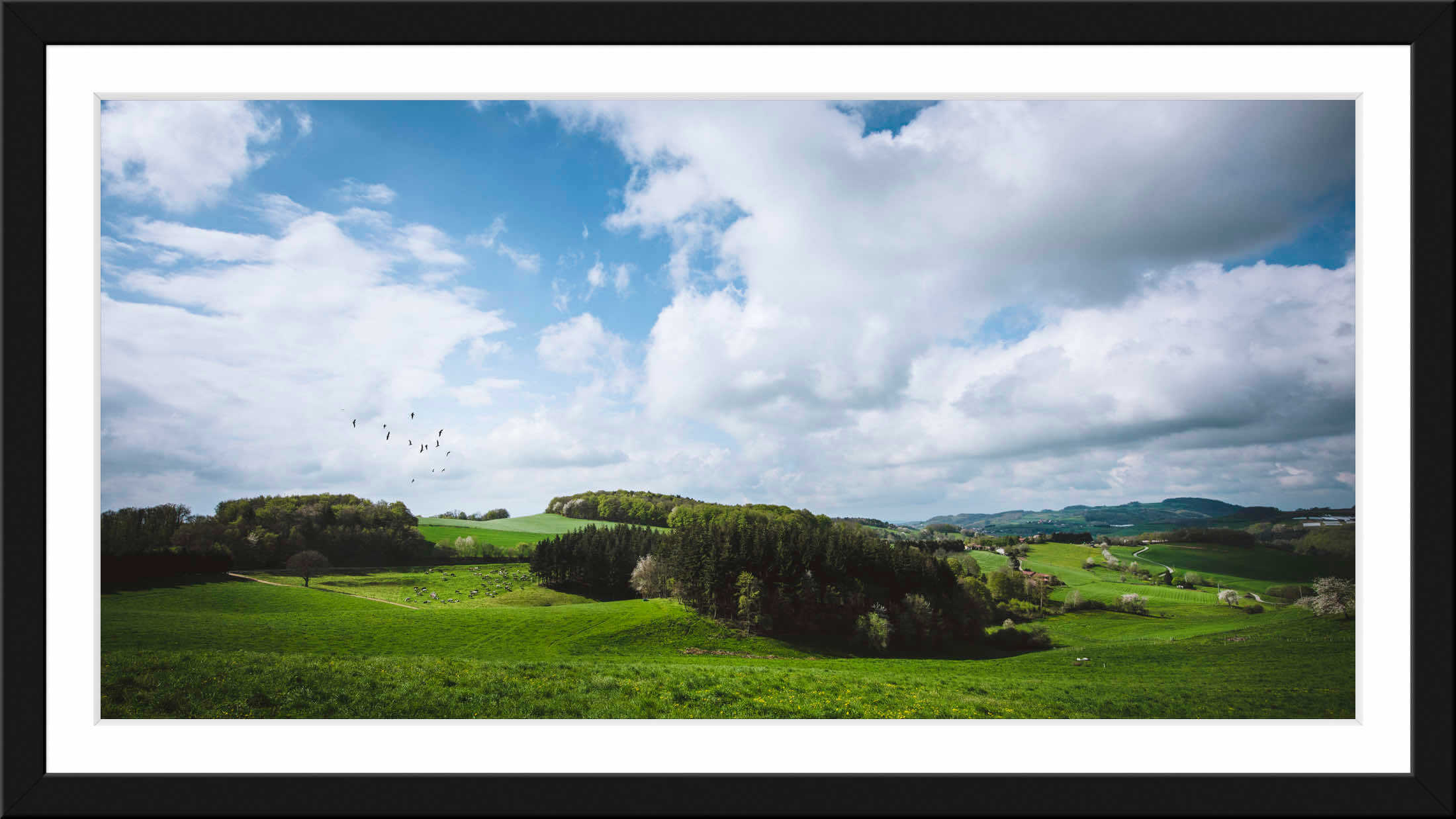 Paysage panoramique