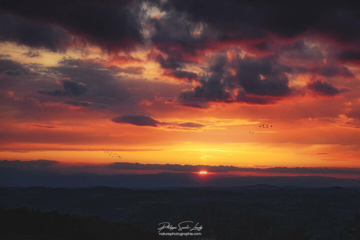 Coucher de soleil orangé