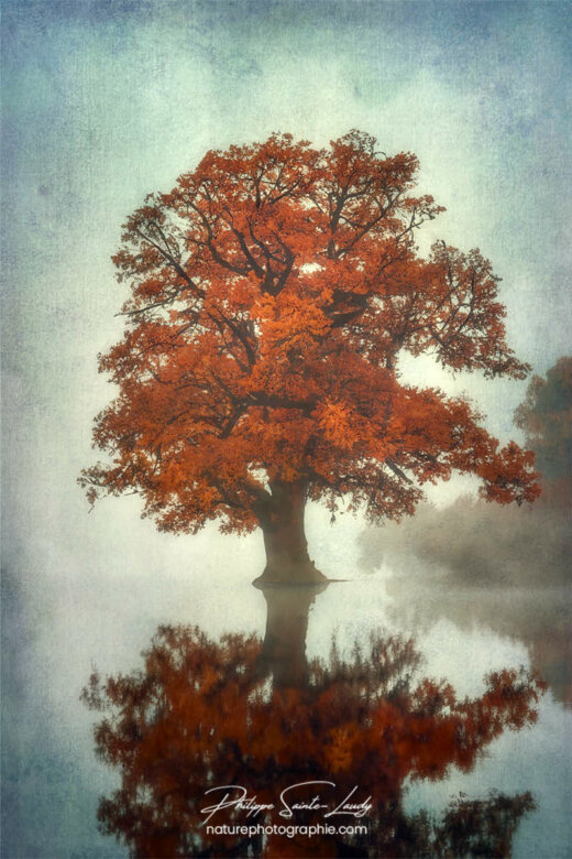 Photo d'automne réalisée avec l'aide de l'IA intelligence artificielle générative de Photoshop