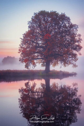 Photo d'automne réalisée avec l'aide de l'IA intelligence artificielle générative de Photoshop