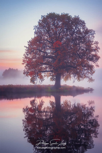 Photo d'automne réalisée avec l'aide de l'IA intelligence artificielle générative de Photoshop