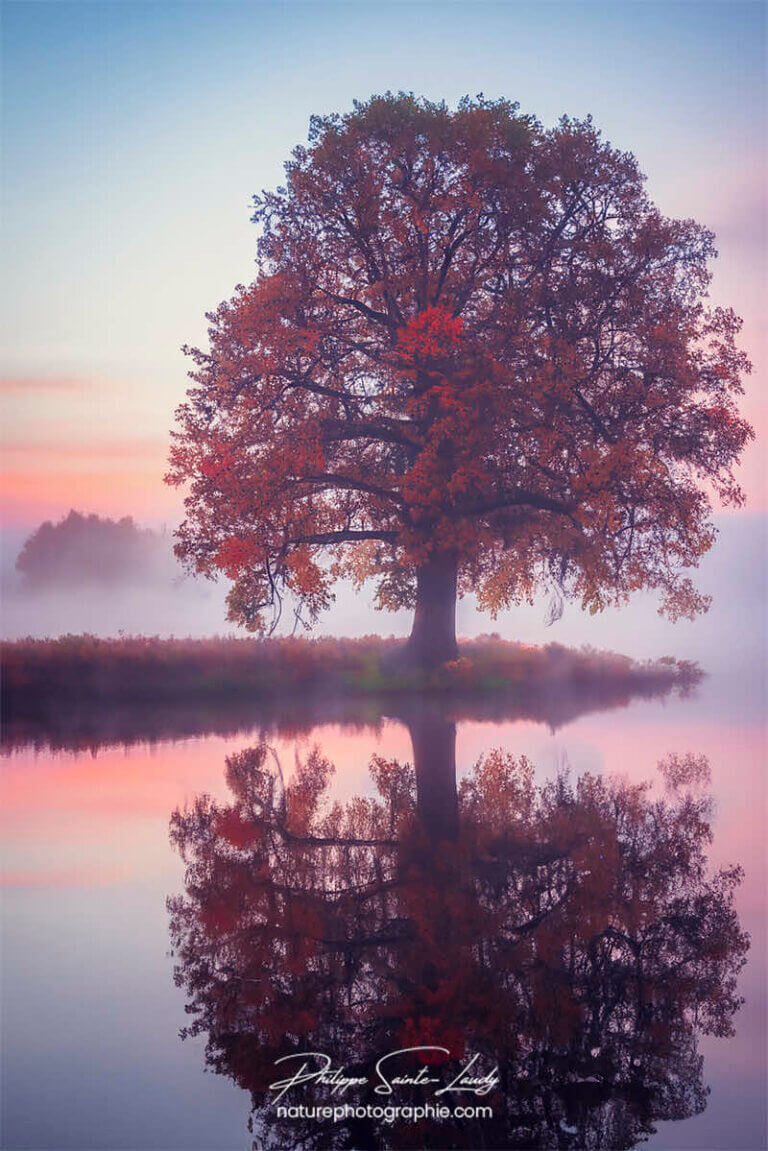 Photo d'automne réalisée avec l'aide de l'IA intelligence artificielle générative de Photoshop