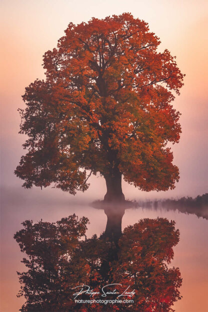 Photo d'automne réalisée avec l'aide de l'IA intelligence artificielle générative de Photoshop